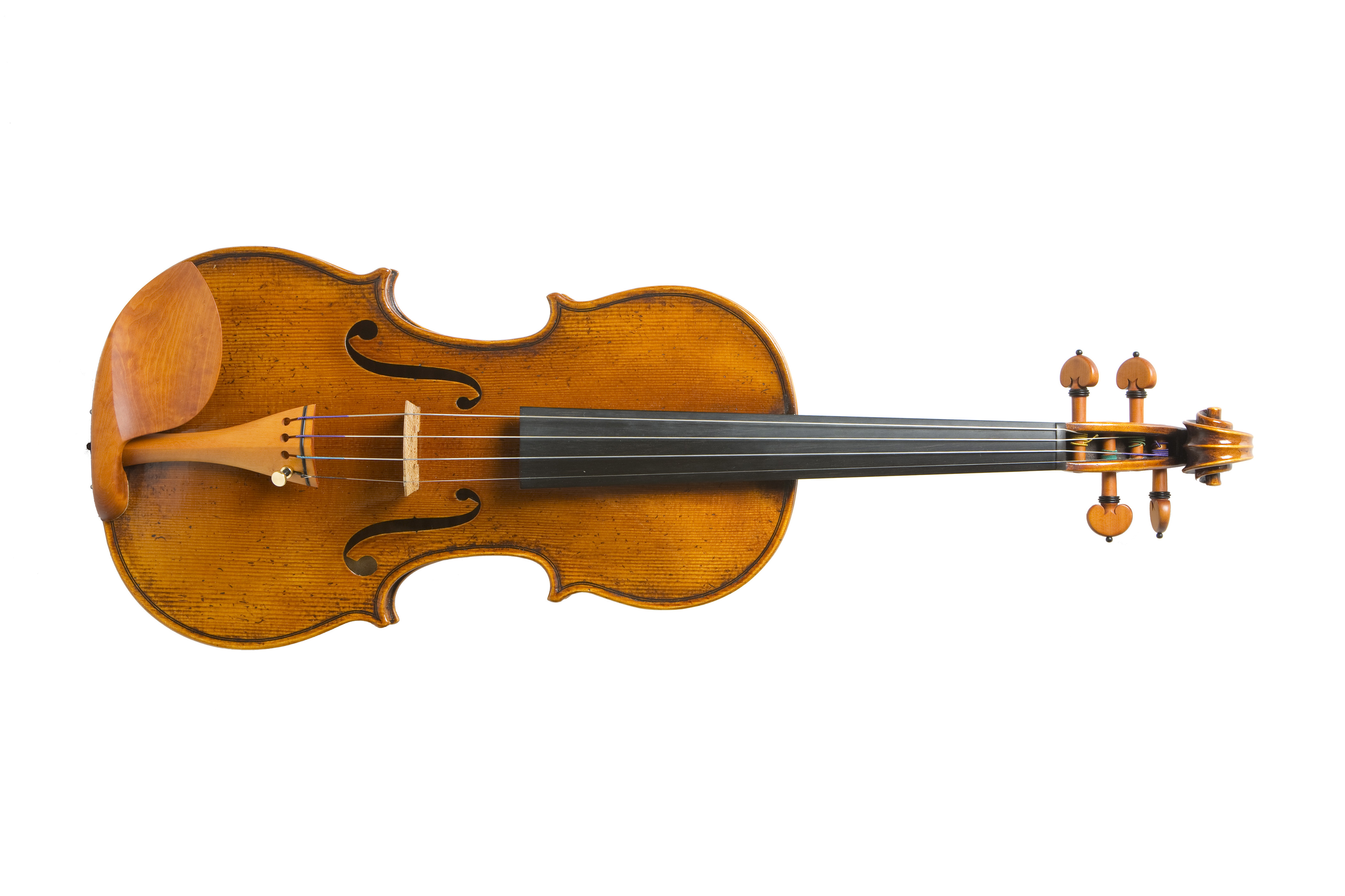 violon