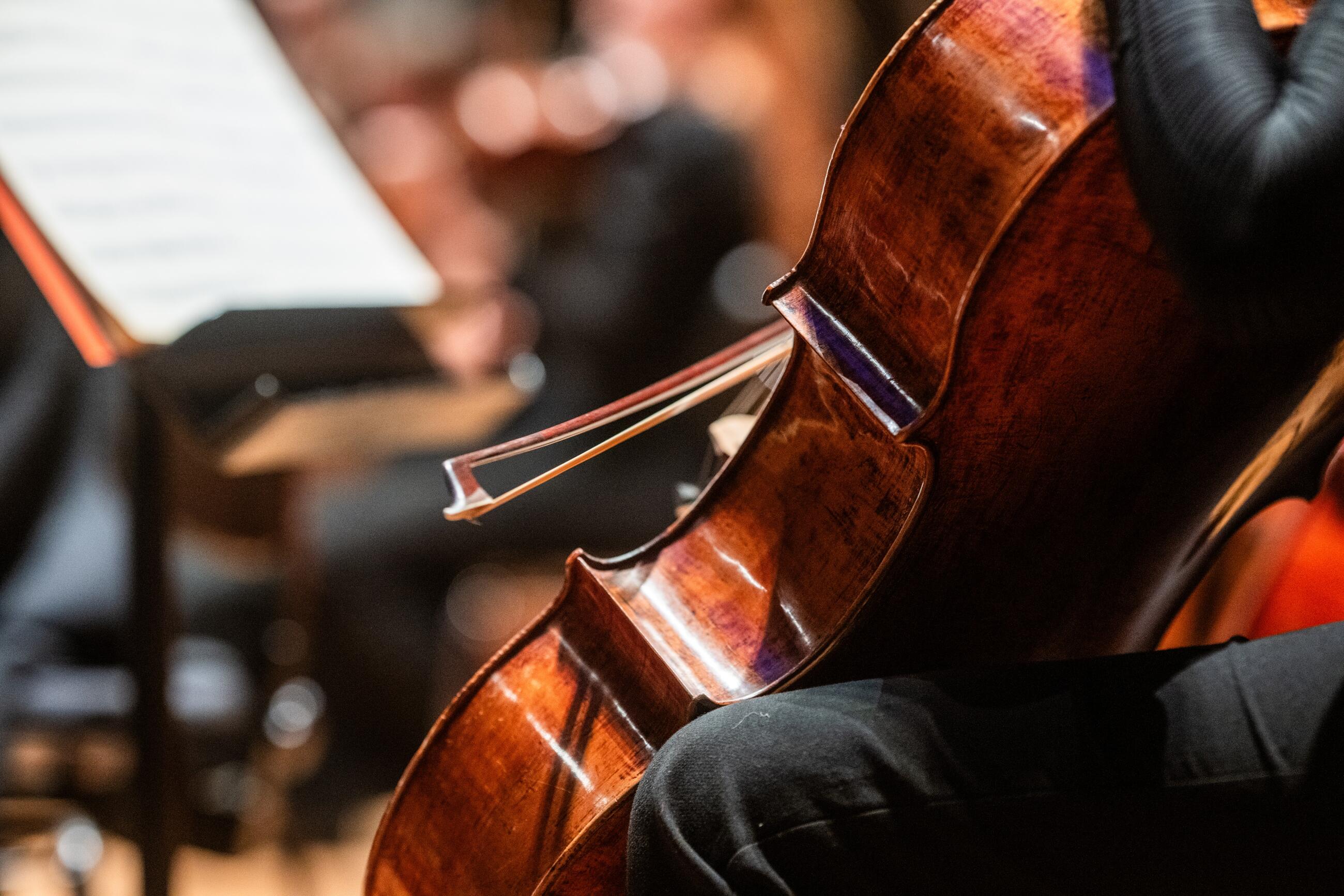 violoncelle