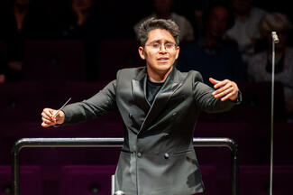 Luis Castillo-Briceño